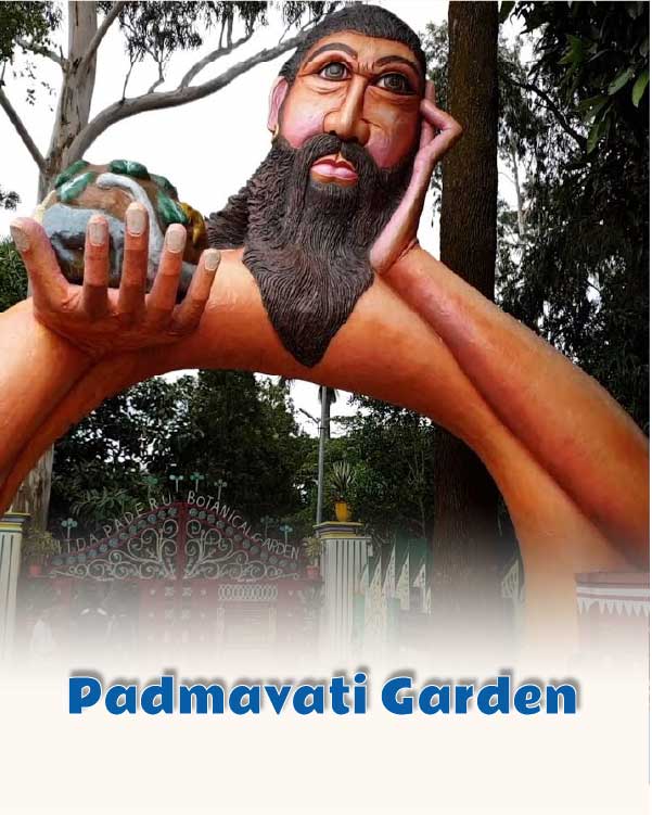 Padmavati Garden
