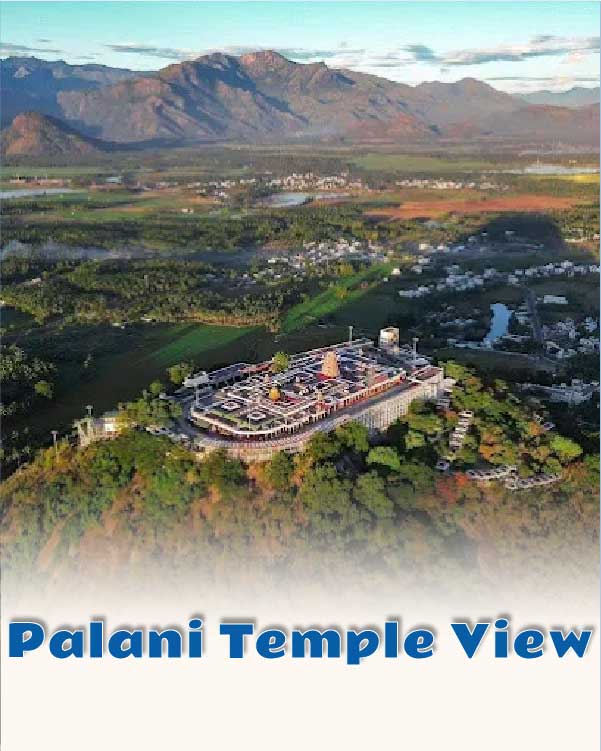 Palani Temple View