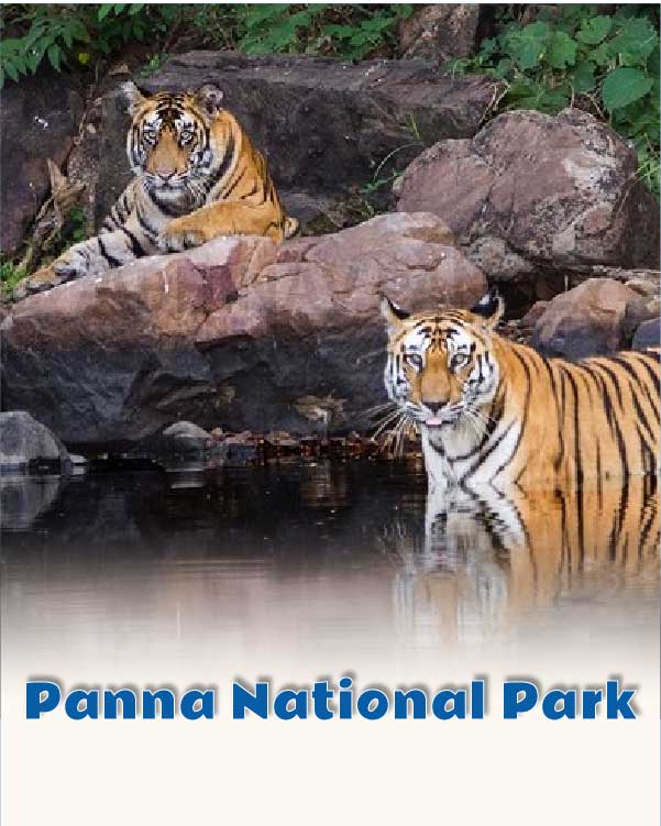 Panna National Park