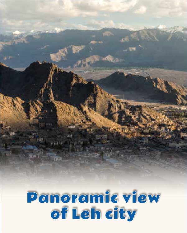 panoramic view of Leh city