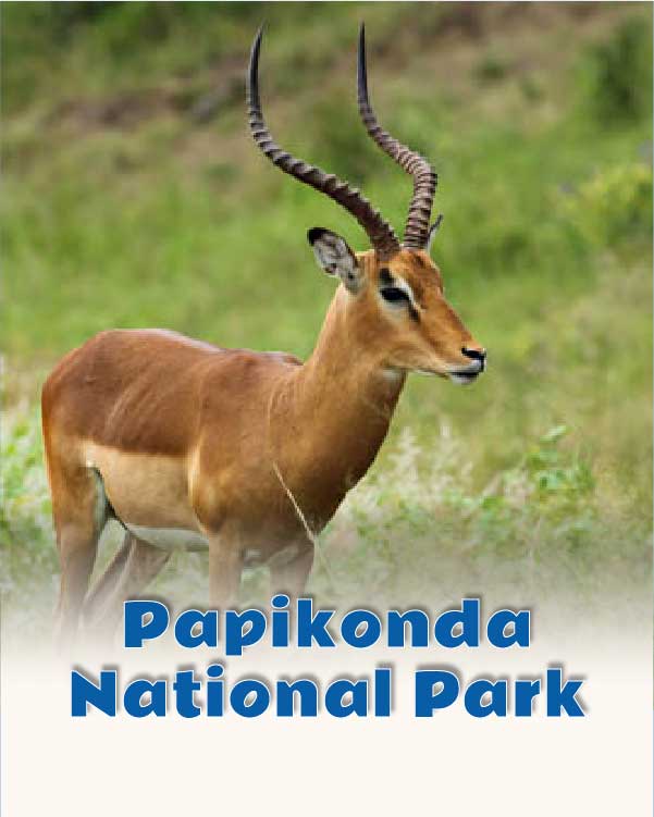 Papikondalu National Park