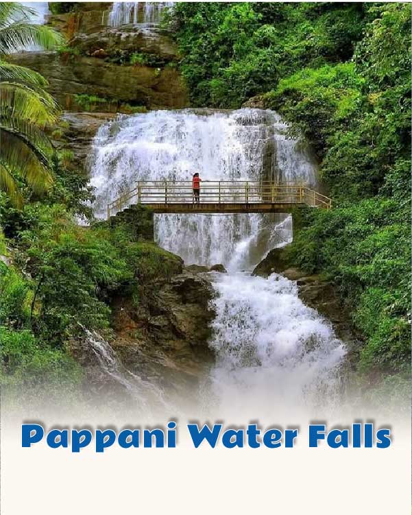 Pappani Water Falls