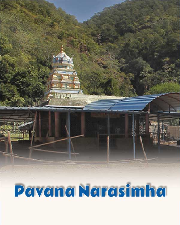 Pavana Narsimha