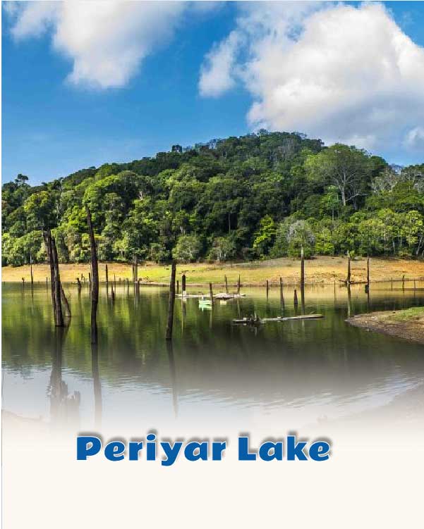 Periyar Lake