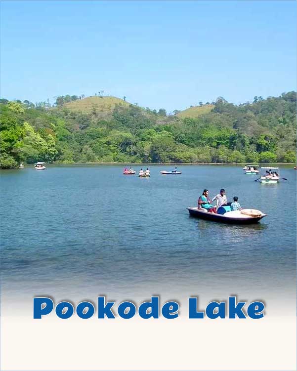 Pookode Lake