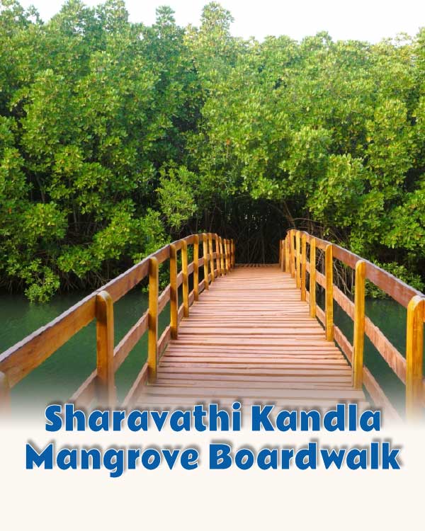 Sharavathi Kandla Mangrove Broadwalk
