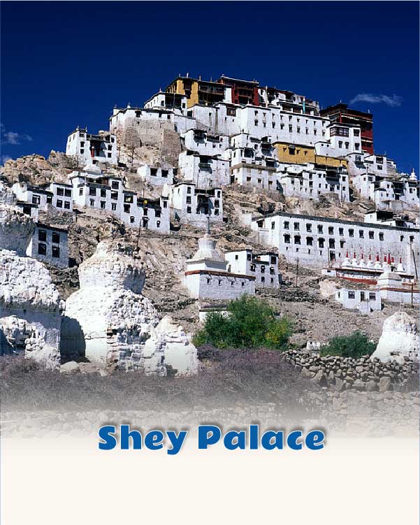 Shey Palace