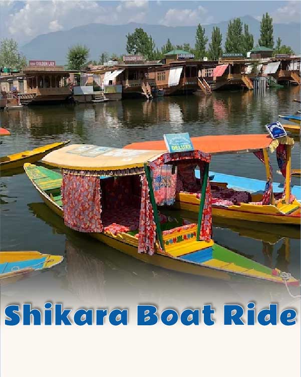Shikara Boat Ride
