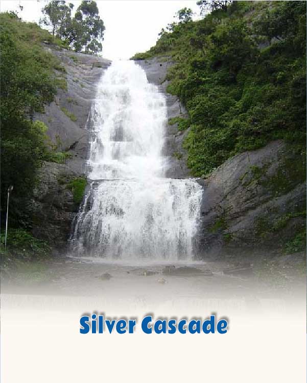 Silver Cascade