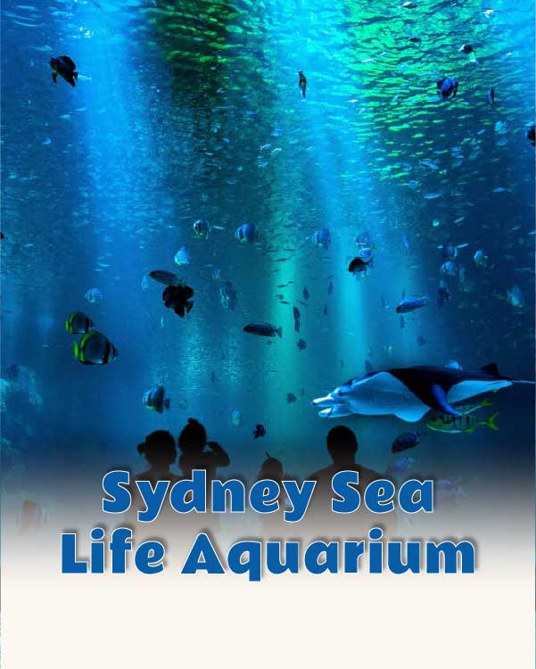 Sydney Sea Life Aquarium