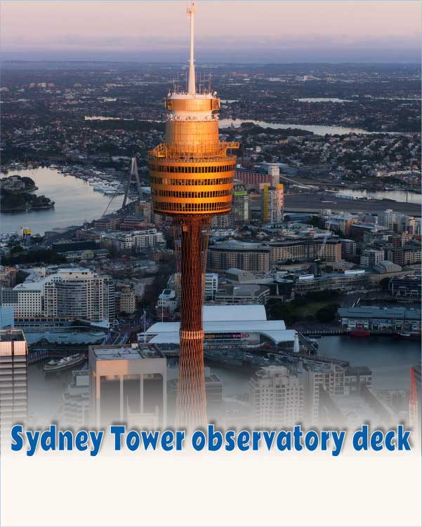 Sydney Tower observatory deck