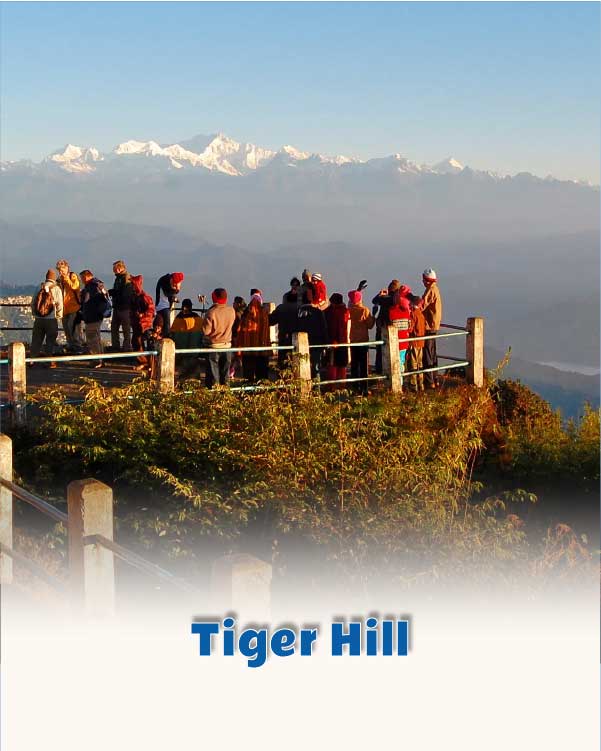 Tiger Hill