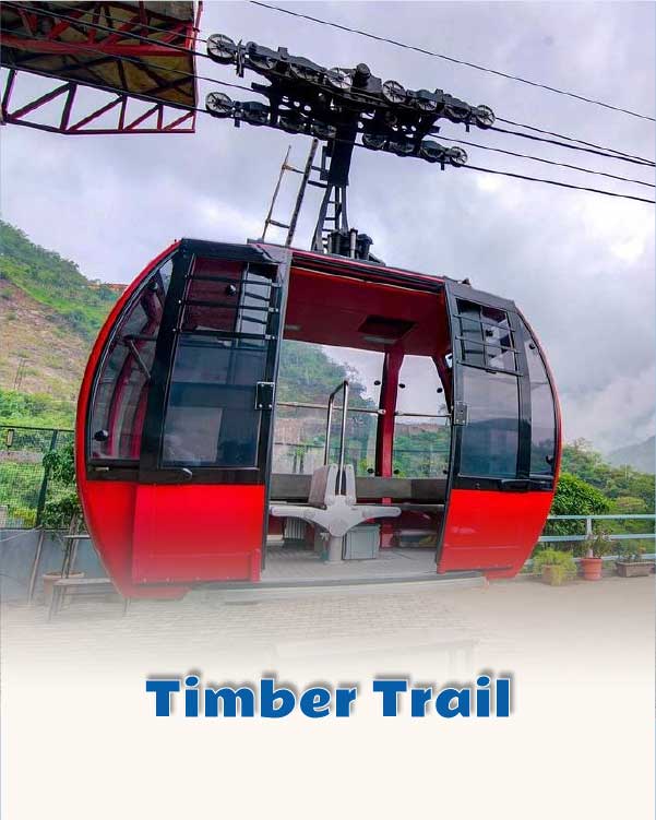 Timber Trail