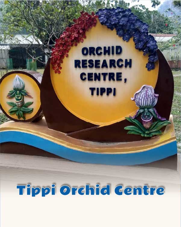 Tippi Orchid Centre