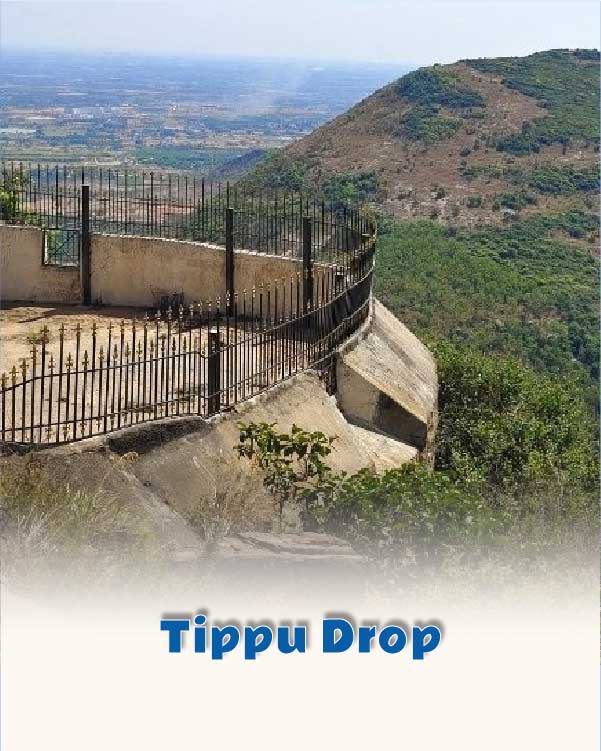 Tippu Drop