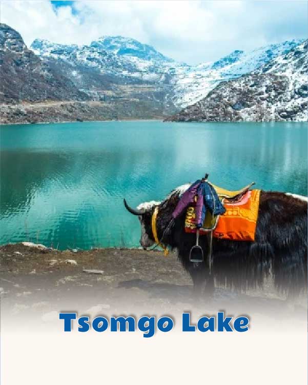 Tsomgo Lake