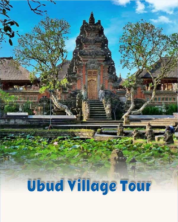 Ubud Village tour