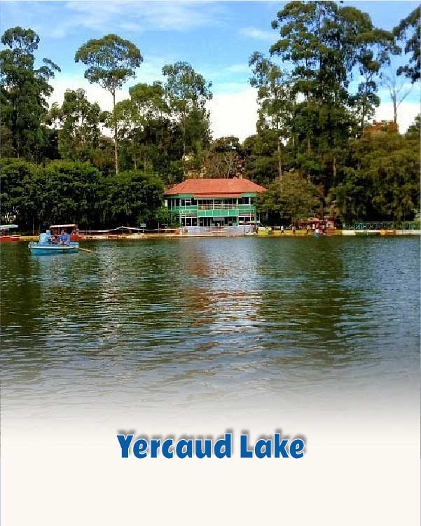 Yercaud Lake