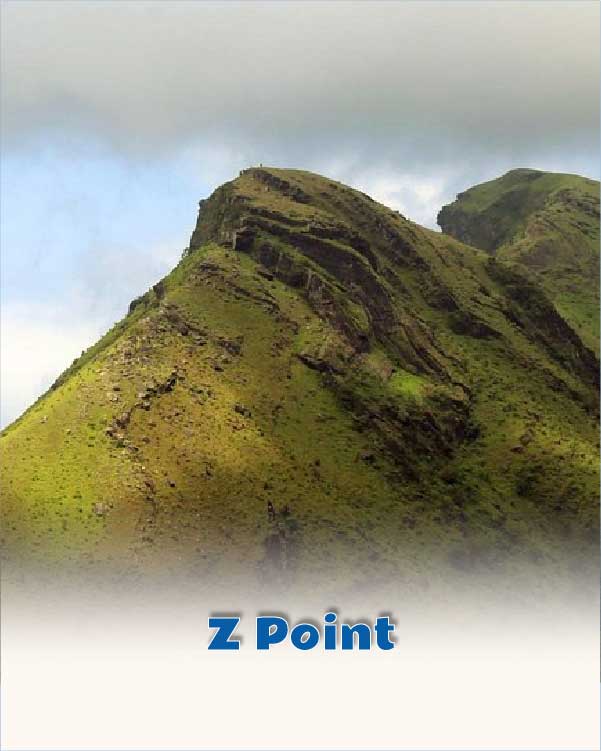Z Point