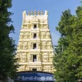 Avanigadda