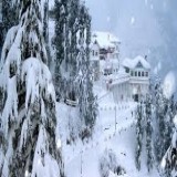 Shimla