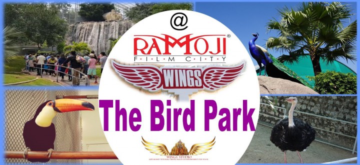 Wings-Bird-Park-at-Ramoji-Film-City