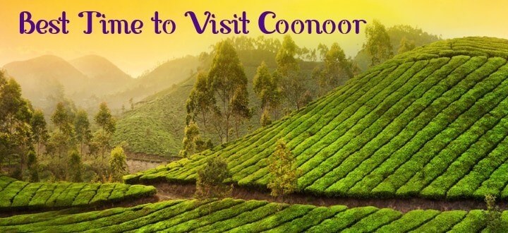 best-time-to-visit-coonoor