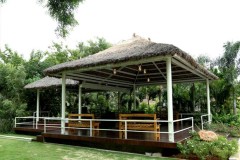 Mrugavani Resort images