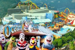 Ocean Park Images