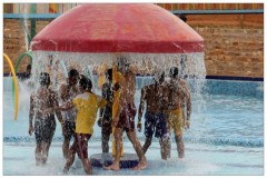 papyrusport images
