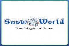 snow world