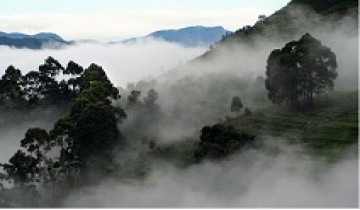  2 Nights-3 Days Kodaikanal-Madurai Tour Package from Madurai