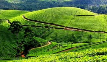  5 Nights-6 Days Bangalore to Munnar-Thekkady Tour Package By Train