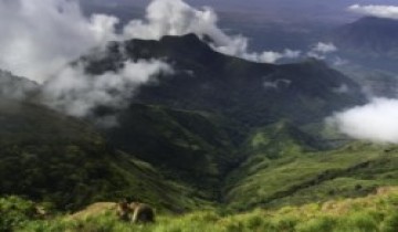 5 Nights-6 Days Chennai to Kodaikanal-Thekkady Tour Package by Train