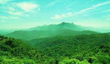  One Day Coorg Tour Package from Mysore