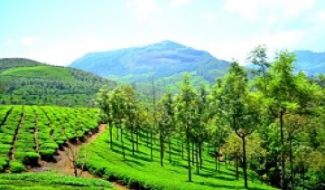  Chennai to Thekkady-Munnar Tour Package by Train