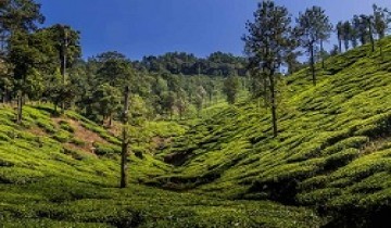  Hyderabad to Bangalore-Ooty-Mysore Tour Package by Bus