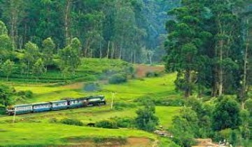  2 Nights-3 Days Ooty-Coonoor-Filmy Chakkar Tour Package from Bangalore