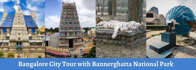 1 Day Bangalore City Tour with Bannerghatta National Park Trip Package