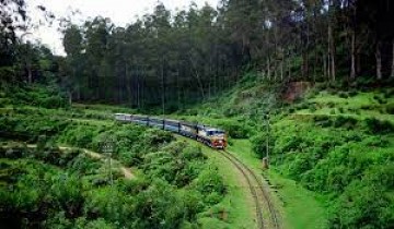  One Day Mysore To Ooty Sightseeing By Bus