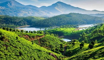  2 Nights-3 Days Munnar Tour Package from Bangalore