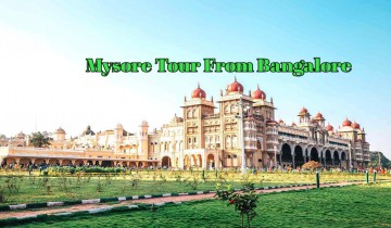  mysore-city-tour