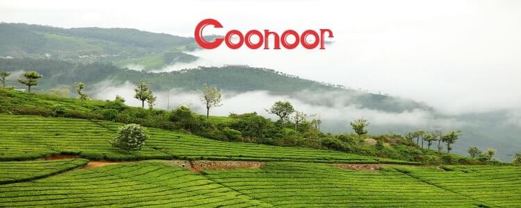 coonoor-attractions