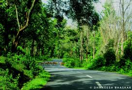 nabdipur forest attraction