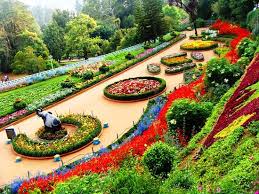 Ooty Botanical Garden