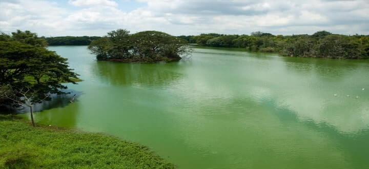 karanji-lake-in-mysore