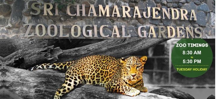 Sri Chamarajendra Zoological Park (Mysore Zoo) - Timings, Entry Fee