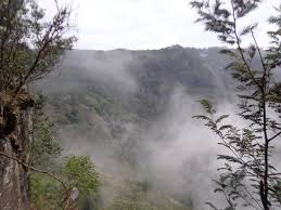 Silent Valley Kodaikanal