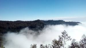 Silent Valley Kodaikanal