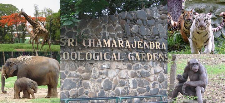 sri-chamarajendra-zoological-park
